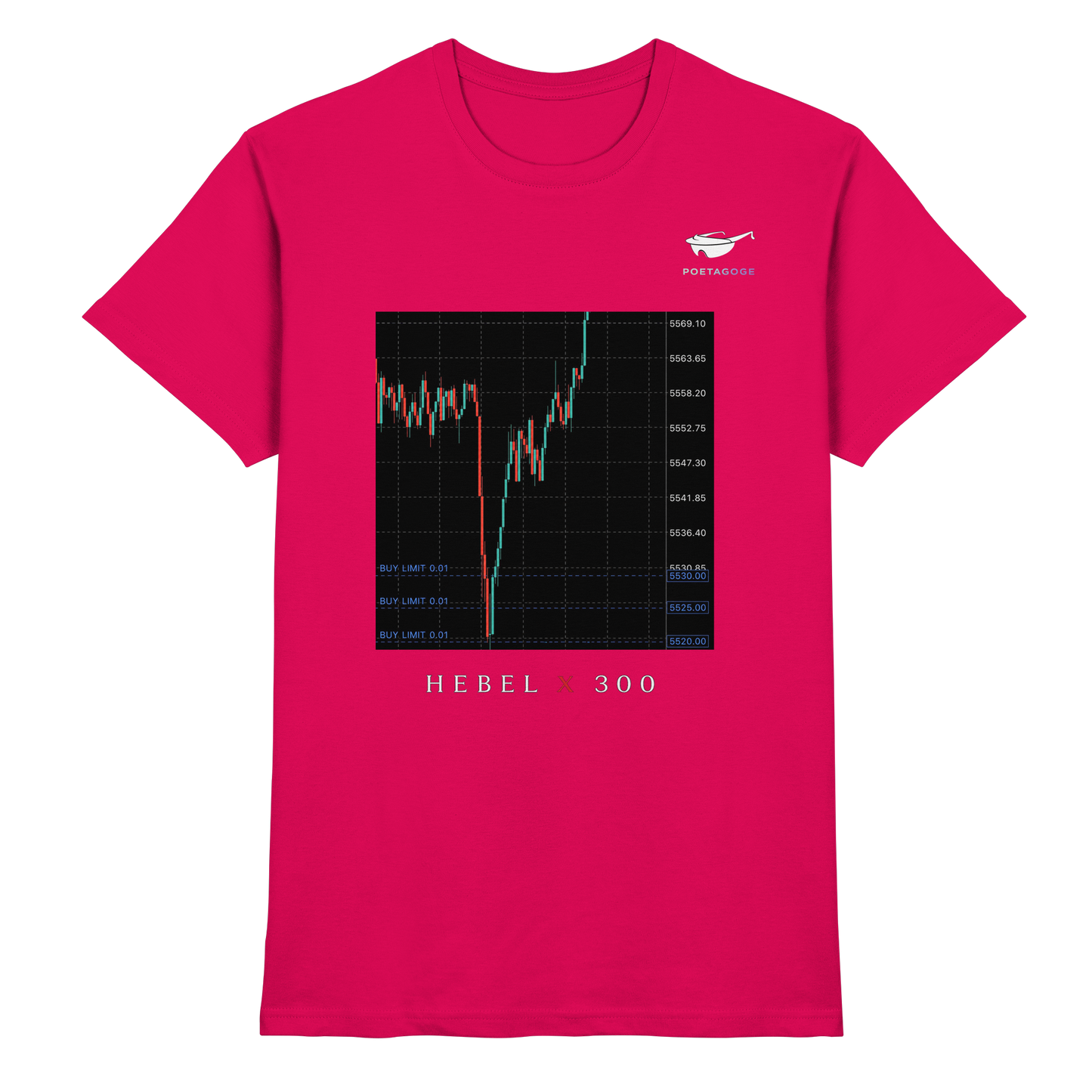 Hebel X 300 - Premium Shirt