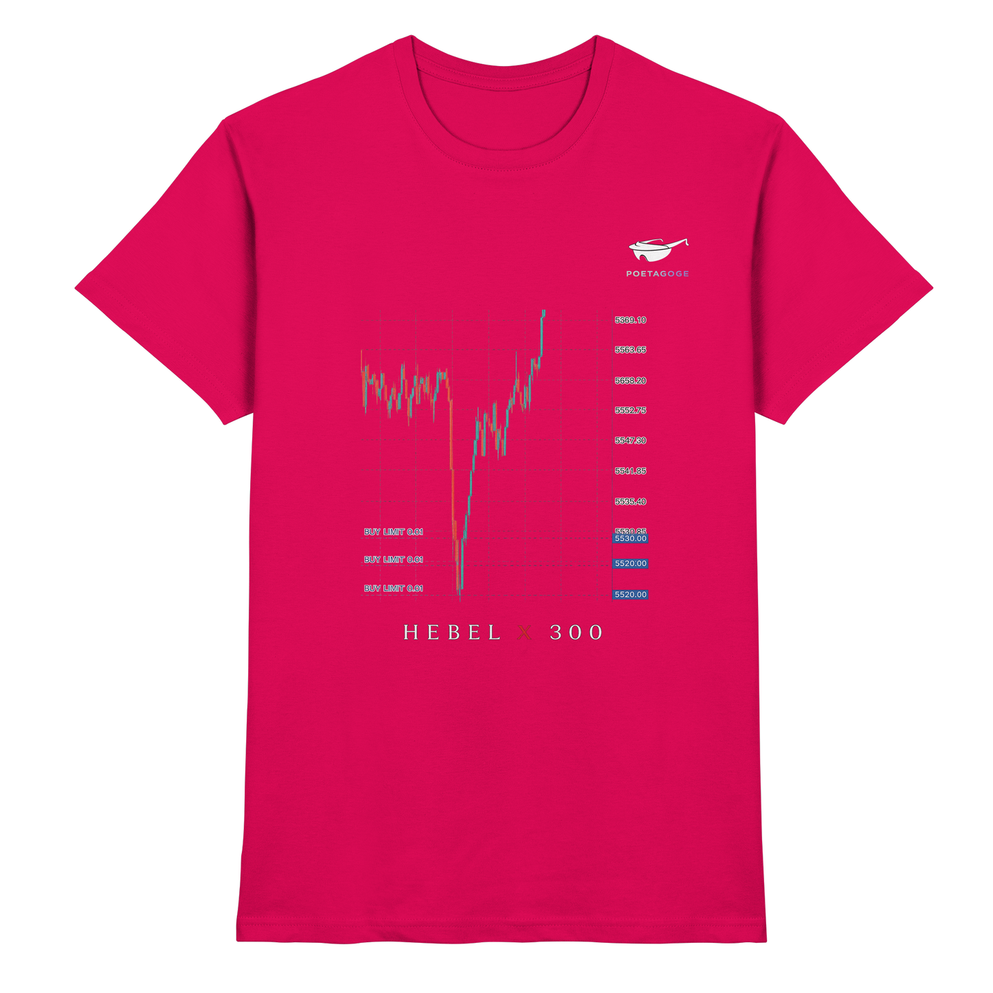 Hebel X 300 - Premium Shirt