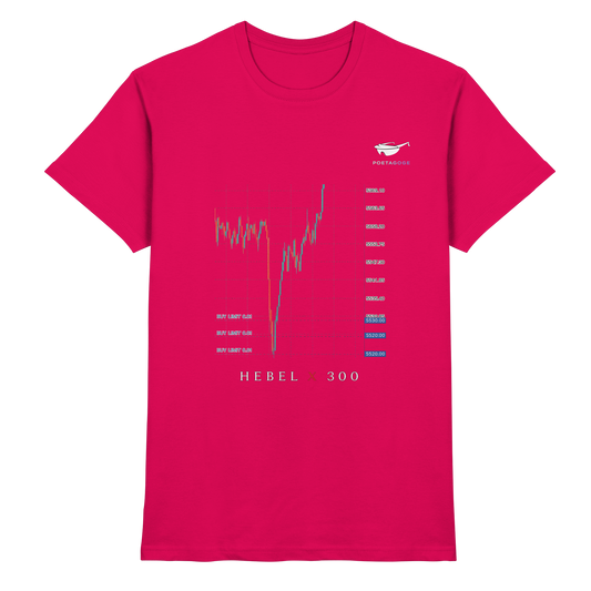 Hebel X 300 - Premium Shirt