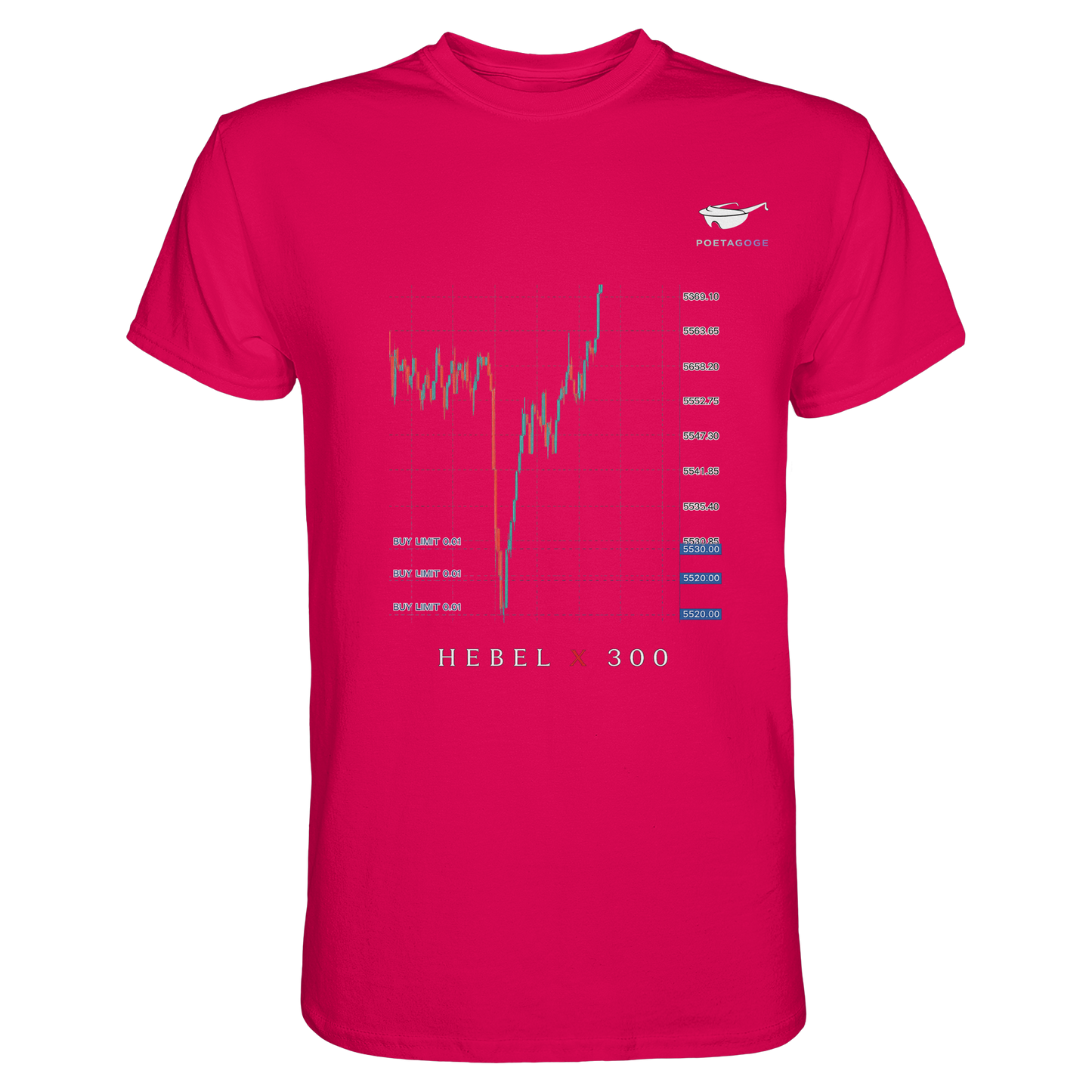 Hebel X 300 - Premium Shirt